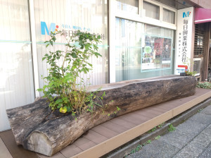 毎日興業「つながる活樹プロジェクト」　氷川神社の原木で再開発前の街に癒し